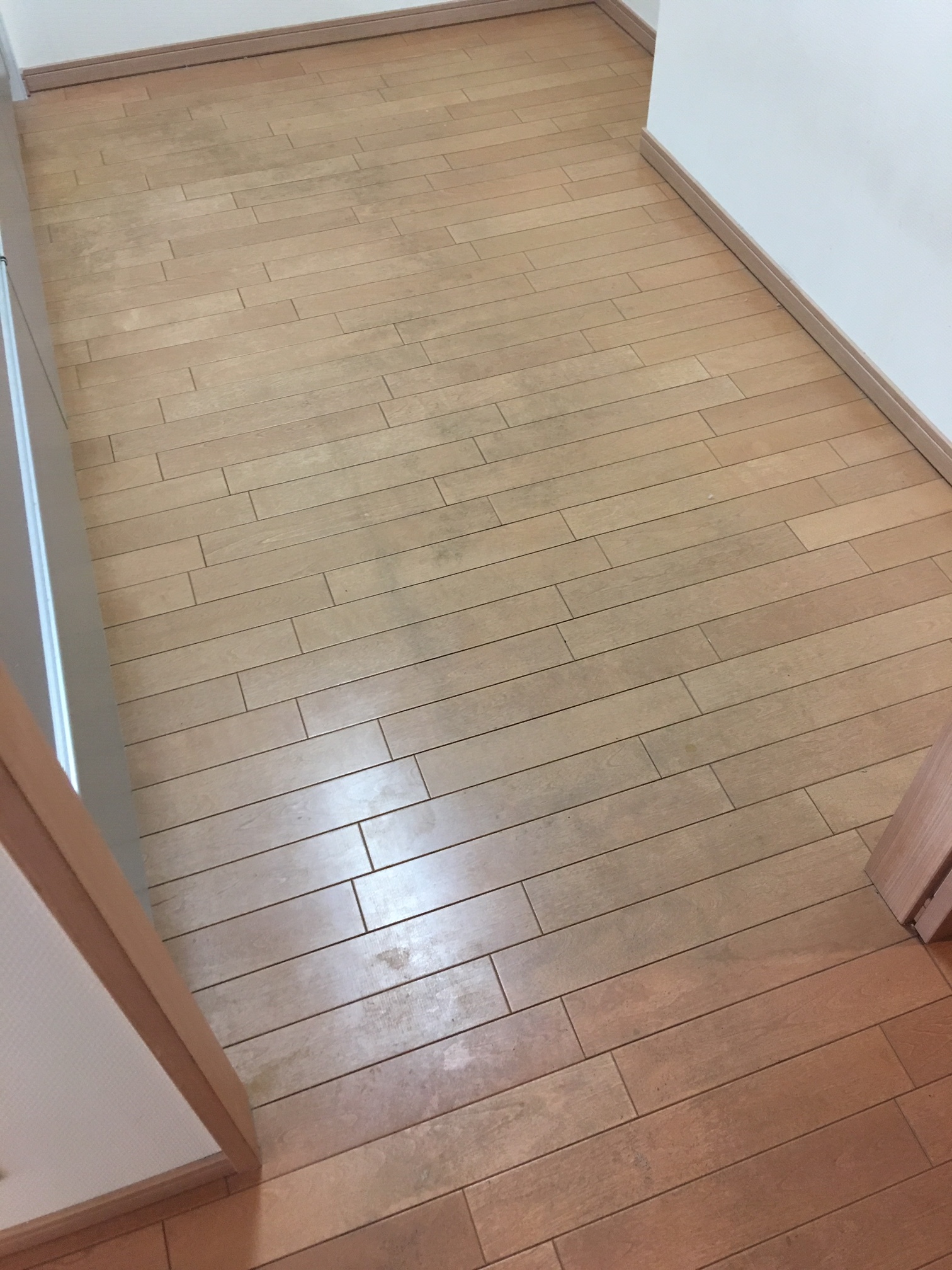 キッチン施工前1