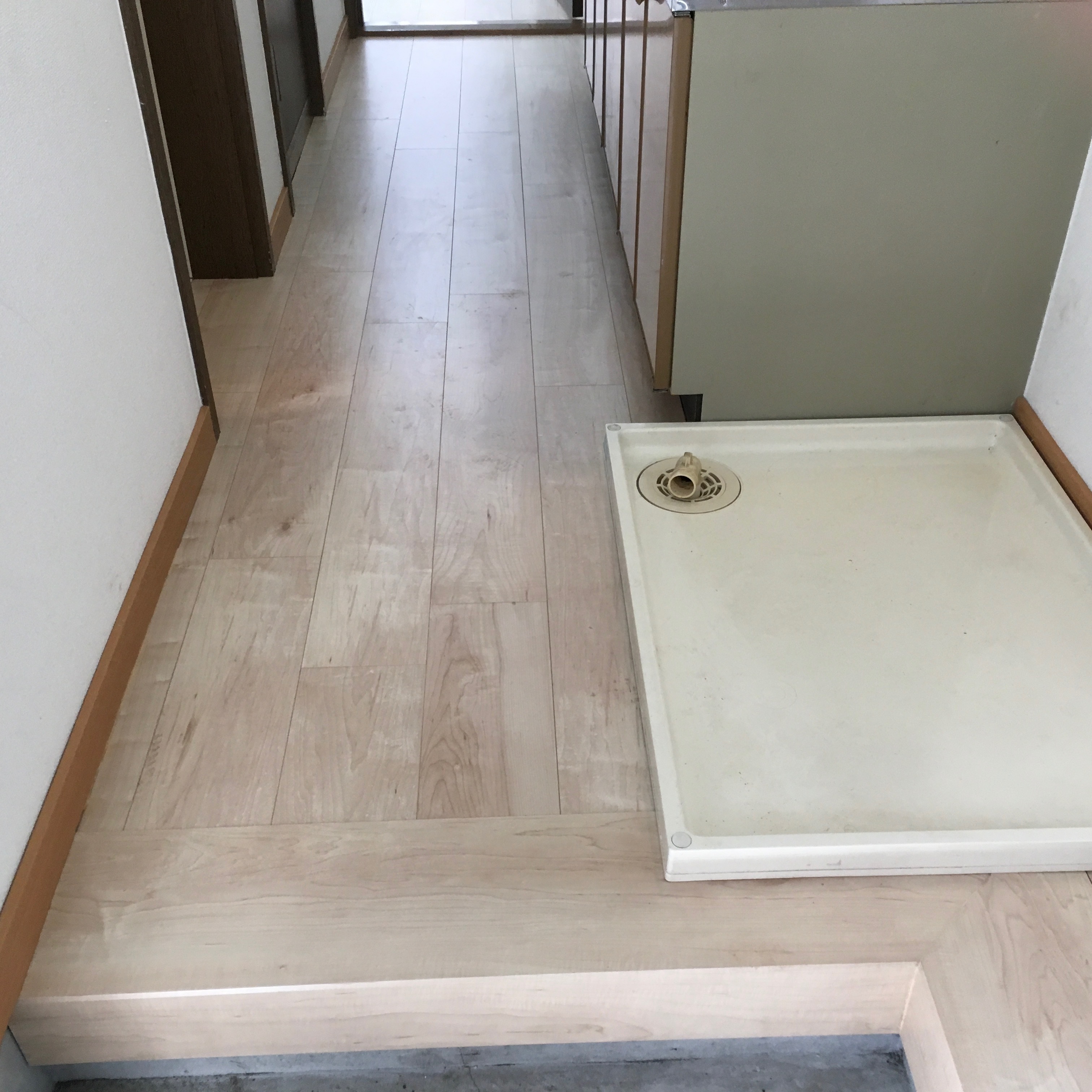 玄関廊下施工後1